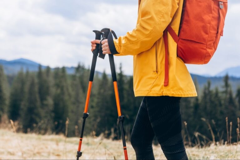Choosing the Best Trekking Poles for Summer Hiking