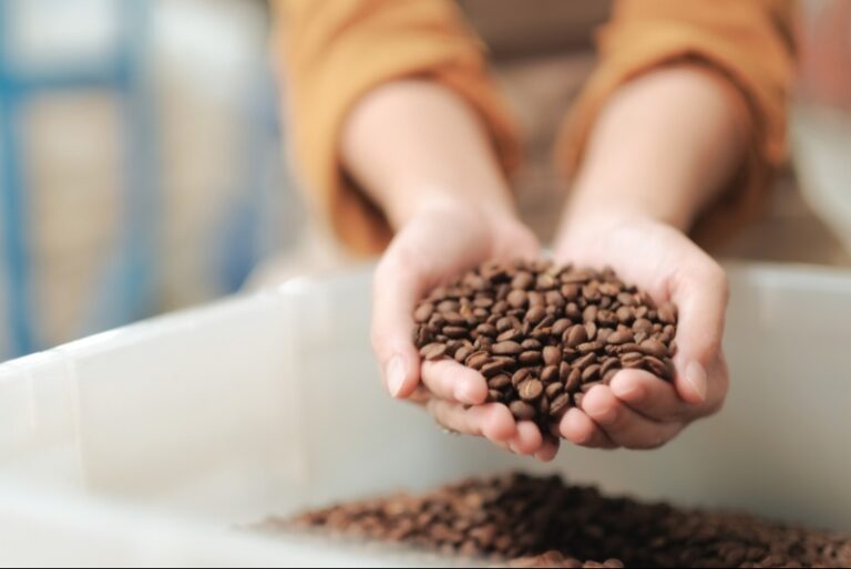 How to Select the Best Specialty Coffee Beans
