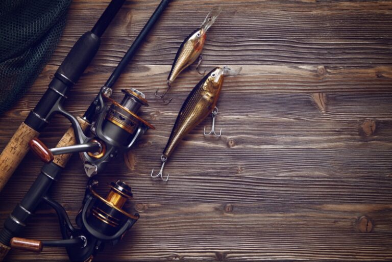 Your Summer Fishing Gear Handbook