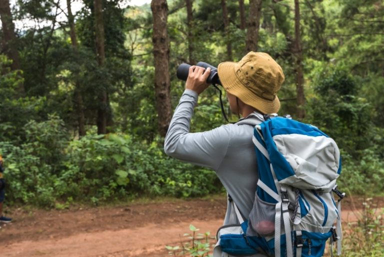 How to Choose the Perfect Pair of Binoculars for Bird Watching