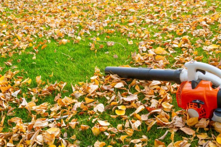A Comprehensive Guide to Choosing the Best Leaf Blower for Fall